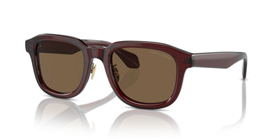 Giorgio Armani AR8206 Transparent Brown/Dark Brown #colour_transparent-brown-dark-brown
