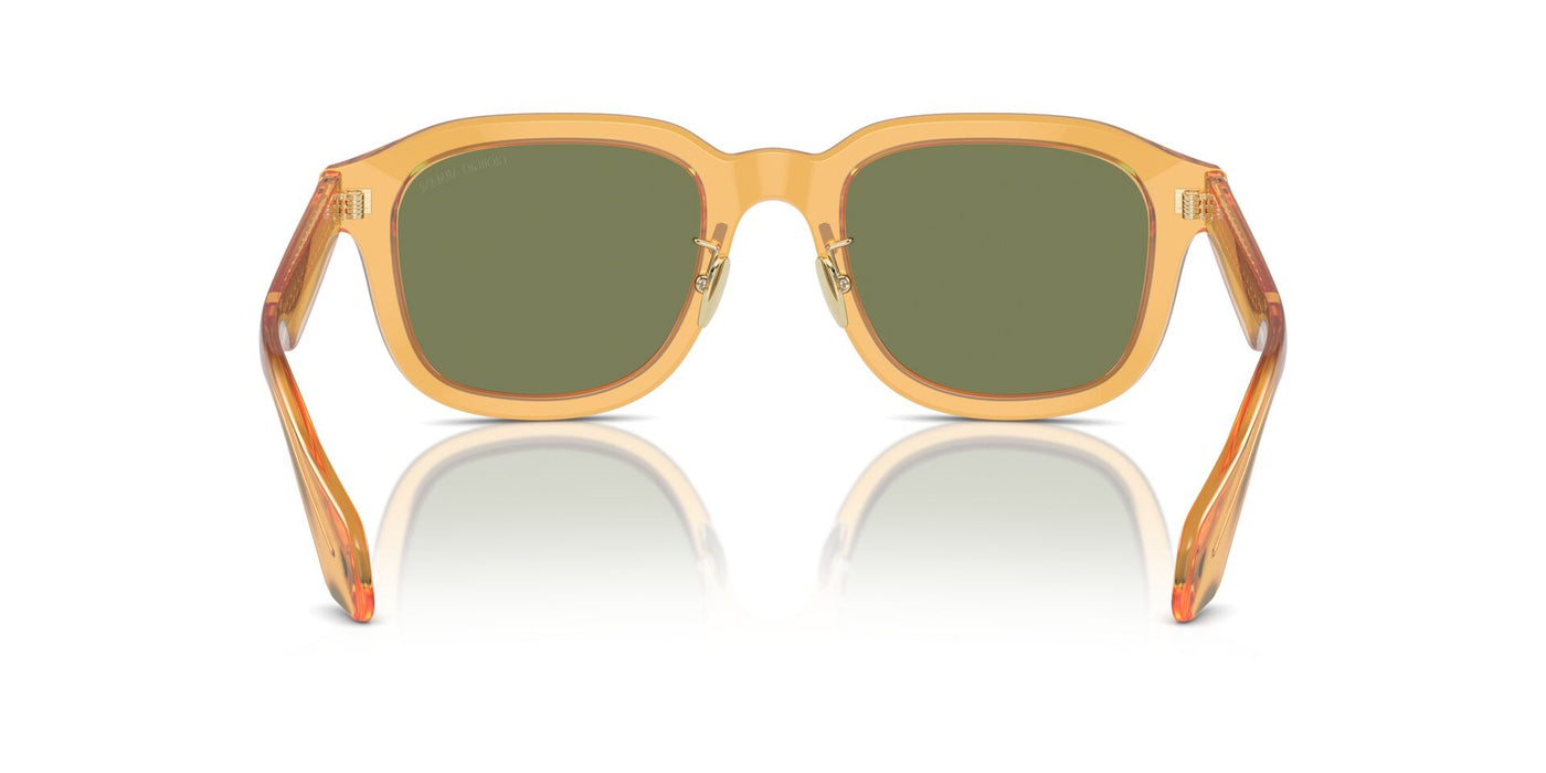 Giorgio Armani AR8206 Transparent Honey/Green #colour_transparent-honey-green