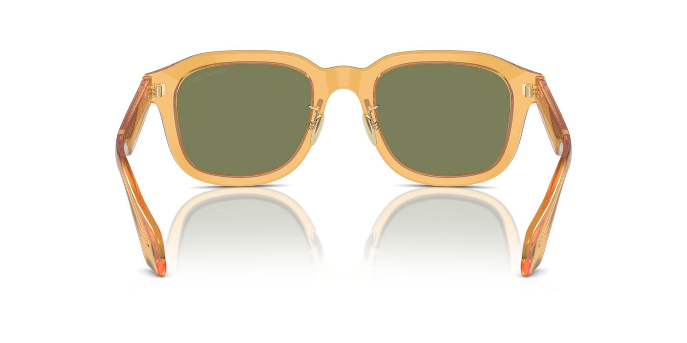 Giorgio Armani AR8206 Transparent Honey/Green #colour_transparent-honey-green