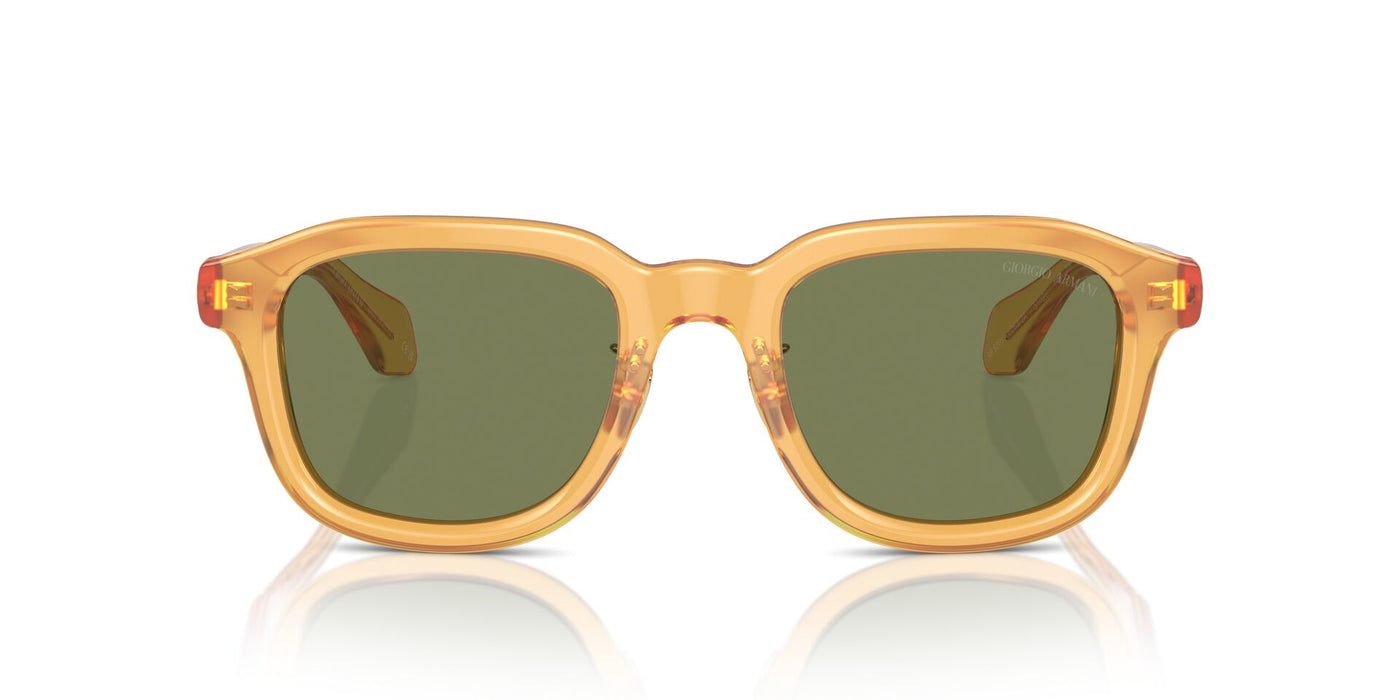 Giorgio Armani AR8206 Transparent Honey/Green #colour_transparent-honey-green