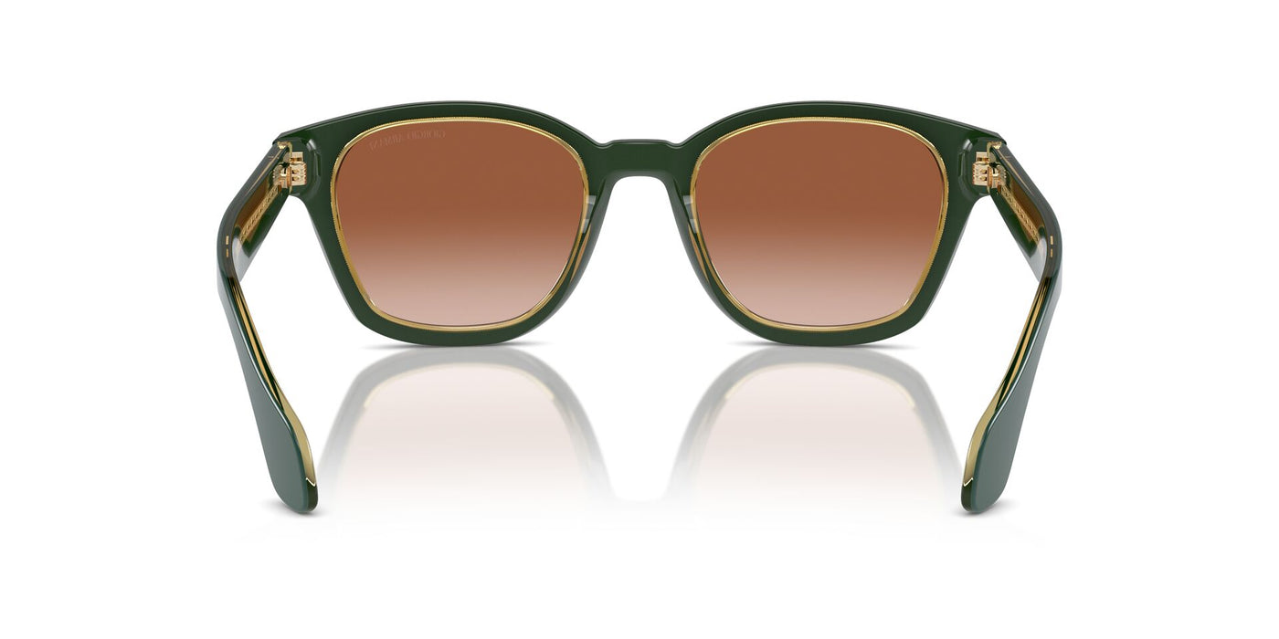 Giorgio Armani AR8207 Top Green/Olive Transparent/Brown Gradient #colour_top-green-olive-transparent-brown-gradient