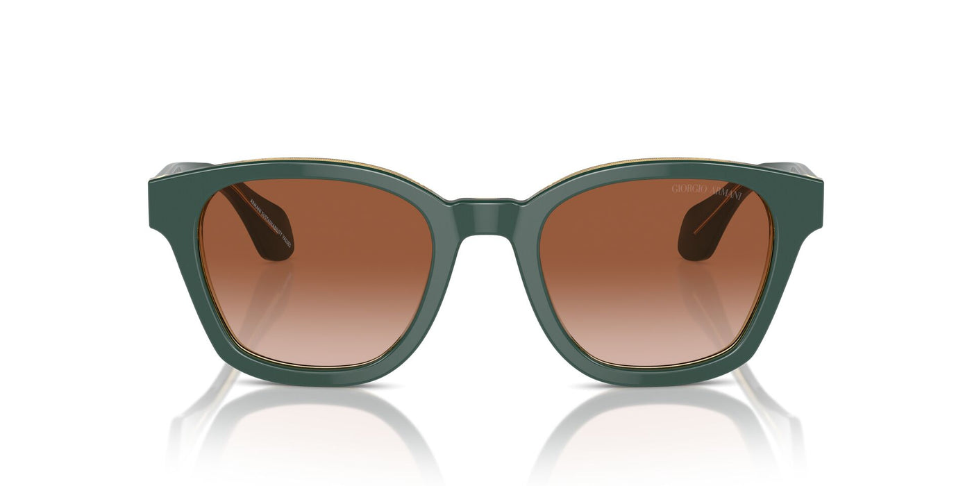 Giorgio Armani AR8207 Top Green/Olive Transparent/Brown Gradient #colour_top-green-olive-transparent-brown-gradient