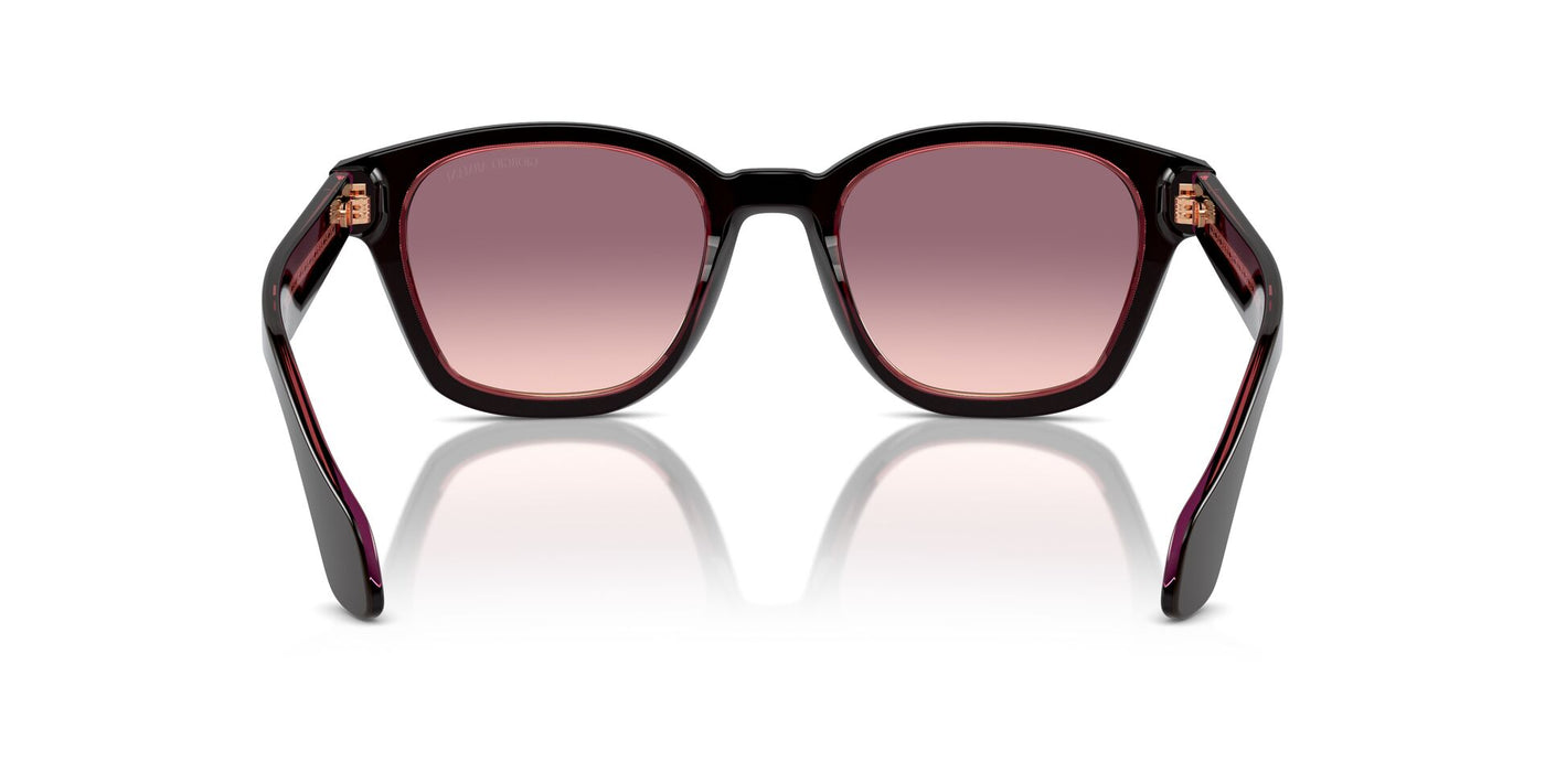 Giorgio Armani AR8207 Top Brown/Transparent Pink/Pink Violet Gradient #colour_top-brown-transparent-pink-pink-violet-gradient