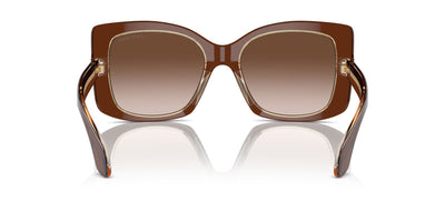 Giorgio Armani AR8208U Top Transparent Brown/Honey/Brown Gradient #colour_top-transparent-brown-honey-brown-gradient