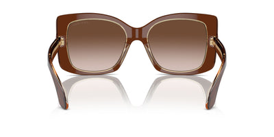 Giorgio Armani AR8208U Top Transparent Brown/Honey/Brown Gradient #colour_top-transparent-brown-honey-brown-gradient