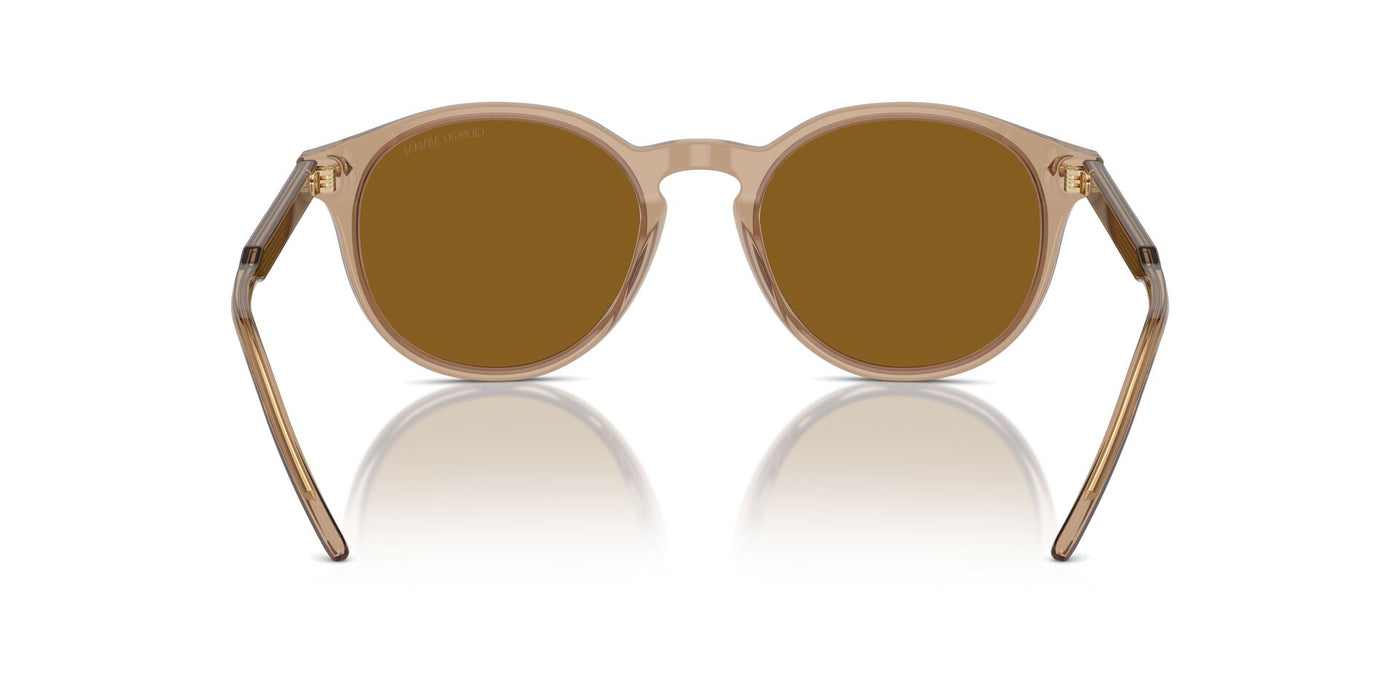 Giorgio Armani AR8211 Transparent Brown/Brown #colour_transparent-brown-brown