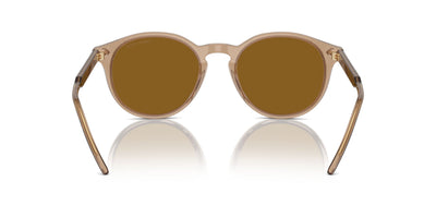 Giorgio Armani AR8211 Transparent Brown/Brown #colour_transparent-brown-brown