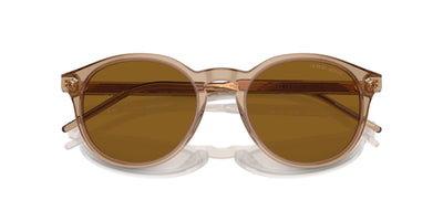 Giorgio Armani AR8211 Transparent Brown/Brown #colour_transparent-brown-brown