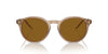 Giorgio Armani AR8211 Transparent Brown/Brown #colour_transparent-brown-brown