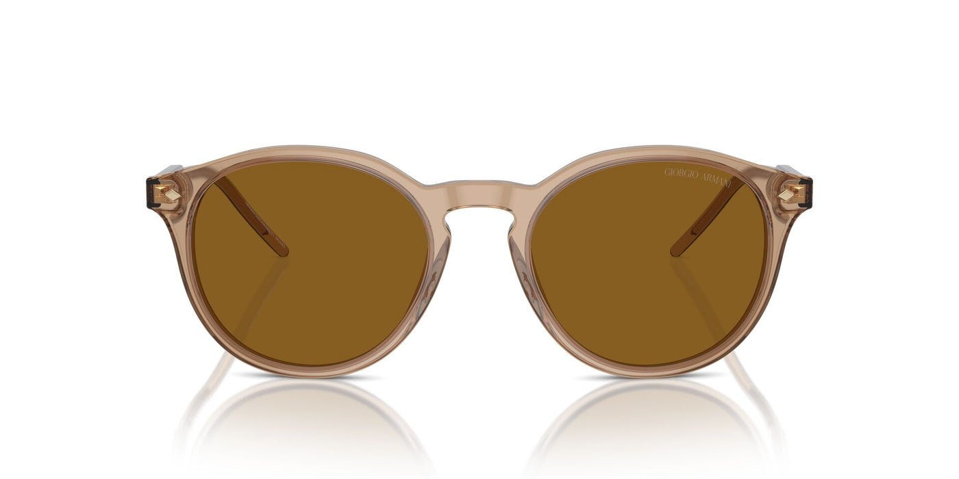 Giorgio Armani AR8211 Transparent Brown/Brown #colour_transparent-brown-brown