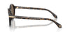 Giorgio Armani AR8237#colour_havana-beige-brown