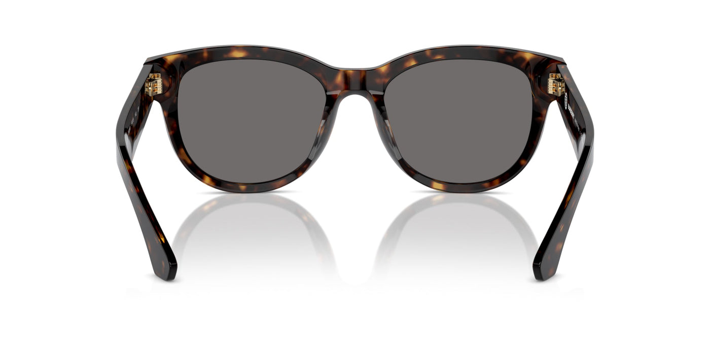 Burberry BE4432U Dark Havana/Dark Grey Polarised #colour_dark-havana-dark-grey-polarised