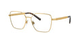 Dolce&Gabbana DG1351