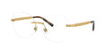 Dolce&Gabbana DG1352