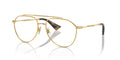 Dolce&Gabbana DG1353