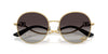 Dolce&Gabbana DG2324 Gold/Grey Gradient #colour_gold-grey-gradient