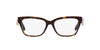 Dolce&Gabbana DG3370 Havana #colour_havana