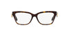 Dolce&Gabbana DG3370 Havana #colour_havana