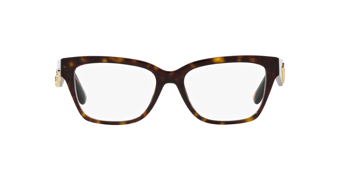 Dolce&Gabbana DG3370 Havana #colour_havana