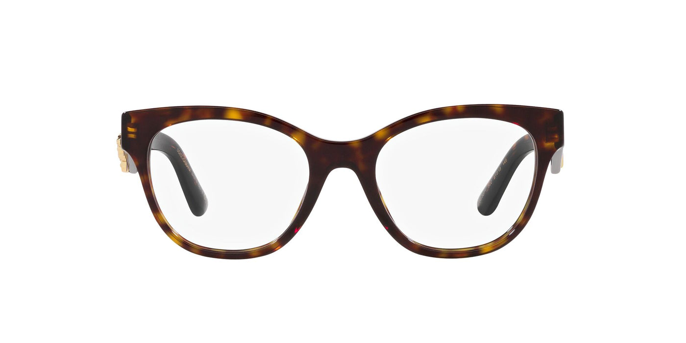 Dolce&Gabbana DG3371 Havana #colour_havana