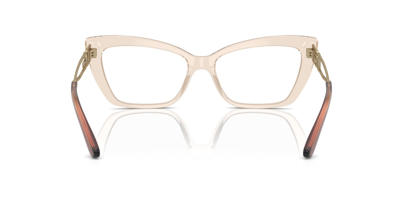 Dolce&Gabbana DG3375B Transparent Camel #colour_transparent-camel