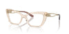 Dolce&Gabbana DG3375B Transparent Camel #colour_transparent-camel