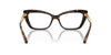 Dolce&Gabbana DG3375B Havana #colour_havana