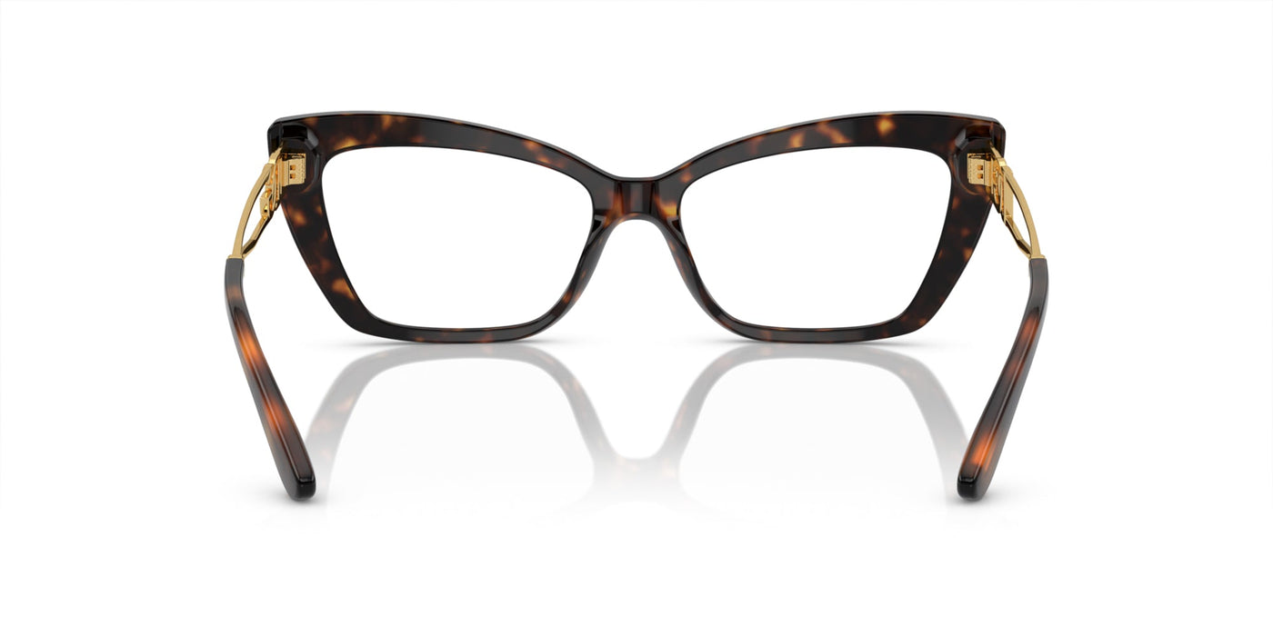 Dolce&Gabbana DG3375B Havana #colour_havana