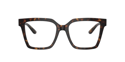 Dolce&Gabbana DG3376B Havana #colour_havana