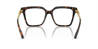 Dolce&Gabbana DG3376B Havana #colour_havana