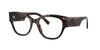 Dolce&Gabbana DG3377 Havana #colour_havana