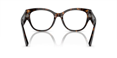 Dolce&Gabbana DG3377 Havana #colour_havana