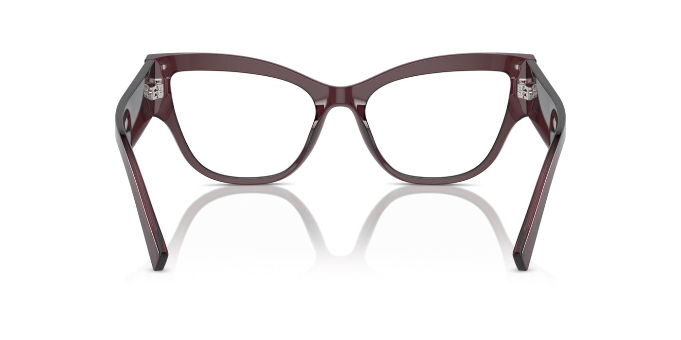 Dolce&Gabbana DG3378 Transparent Violet #colour_transparent-violet