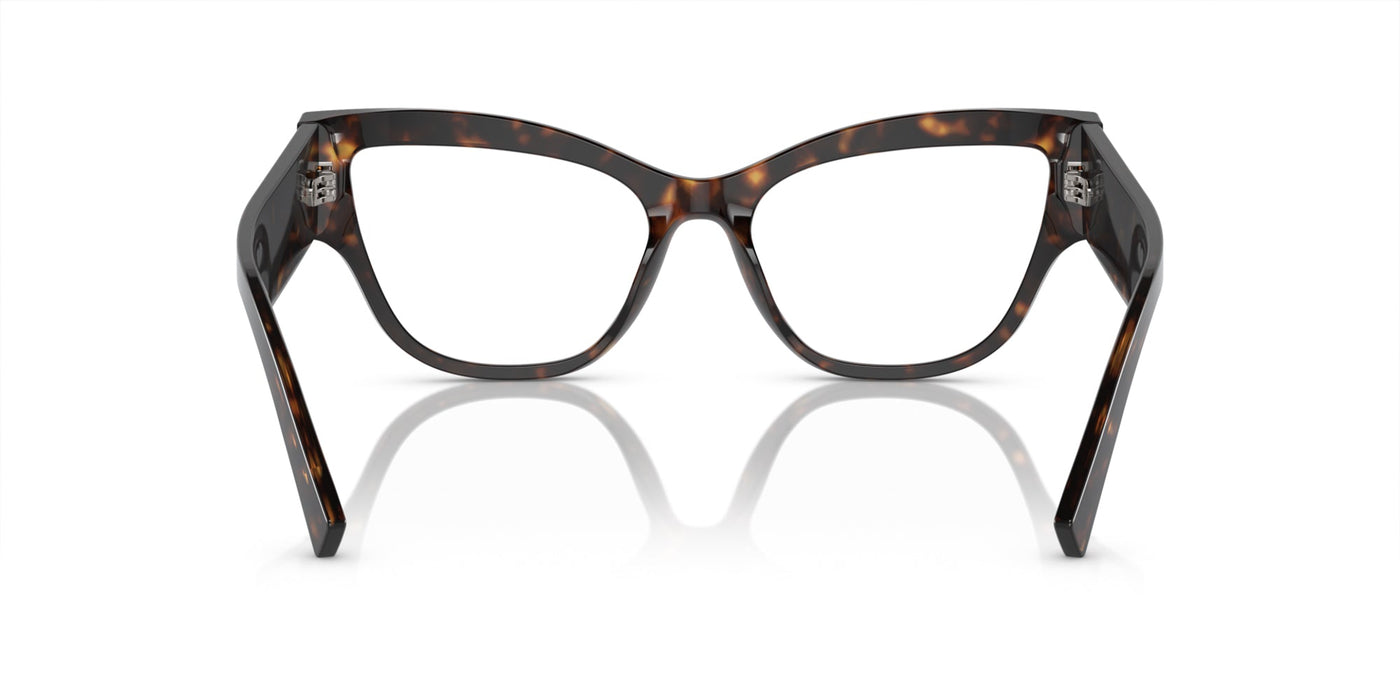 Dolce&Gabbana DG3378 Havana #colour_havana