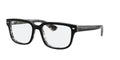 Dolce&Gabbana DG3380