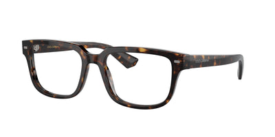 Dolce&Gabbana DG3380 Havana #colour_havana