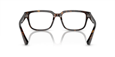 Dolce&Gabbana DG3380 Havana #colour_havana