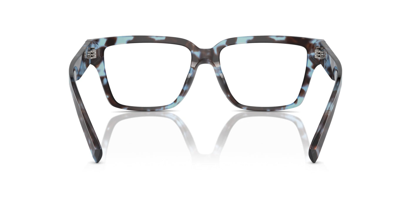 Dolce&Gabbana DG3383 Havana Blue #colour_havana-blue