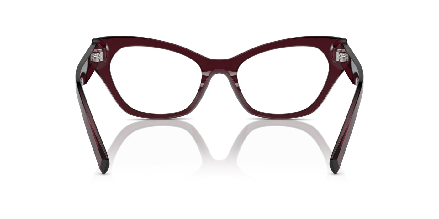 Dolce&Gabbana DG3385 Transparent Violet #colour_transparent-violet