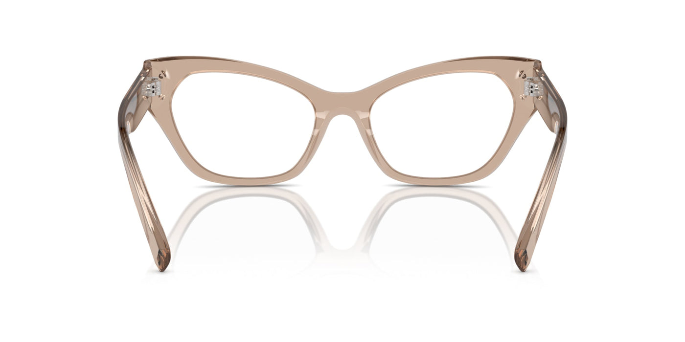 Dolce&Gabbana DG3385 Transparent Camel #colour_transparent-camel