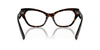 Dolce&Gabbana DG3385 Havana #colour_havana