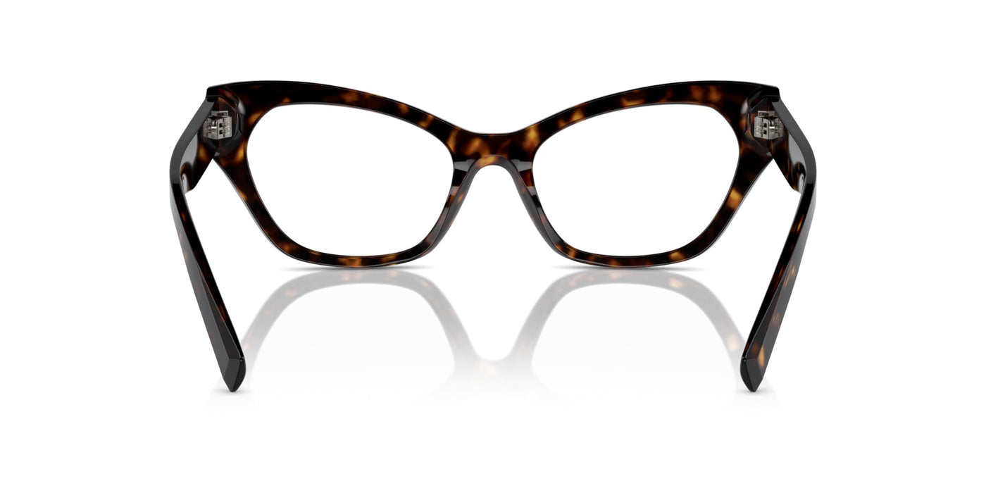 Dolce&Gabbana DG3385 Havana #colour_havana