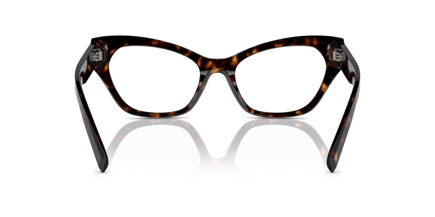 Dolce&Gabbana DG3385 Havana #colour_havana