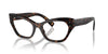 Dolce&Gabbana DG3385 Havana #colour_havana