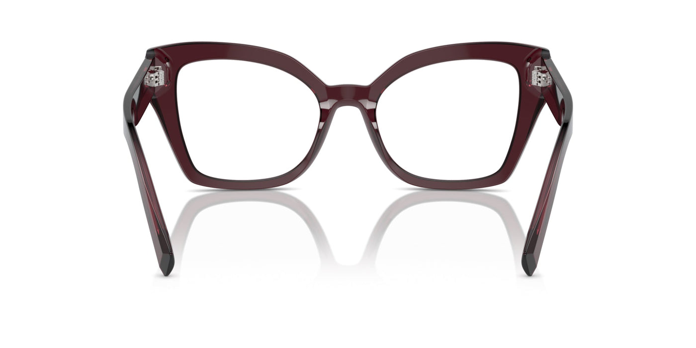 Dolce&Gabbana DG3386 Transparent Violet #colour_transparent-violet
