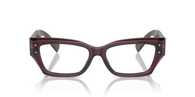 Dolce&Gabbana DG3387 Transparent Violet #colour_transparent-violet