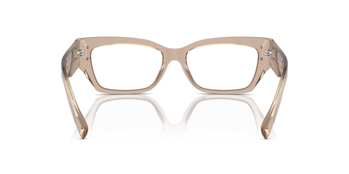 Dolce&Gabbana DG3387 Transparent Camel #colour_transparent-camel