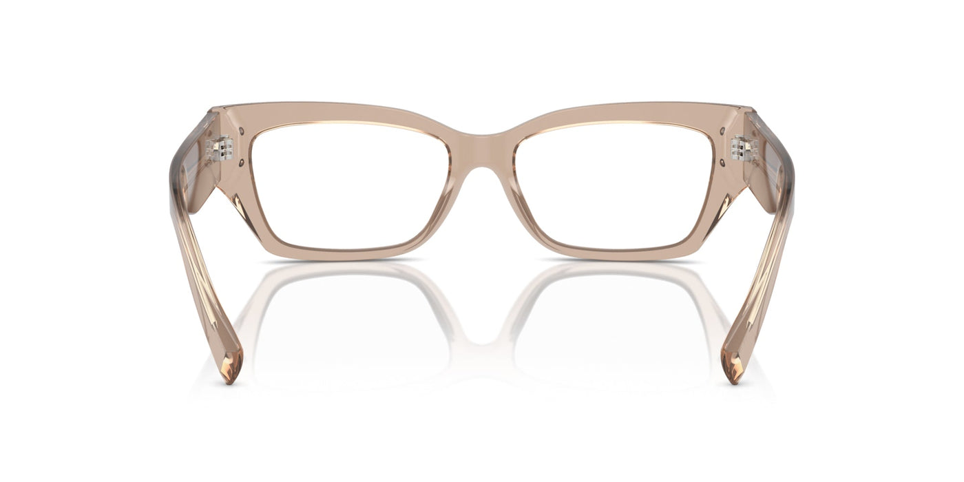 Dolce&Gabbana DG3387 Transparent Camel #colour_transparent-camel