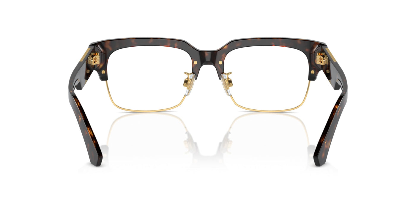 Dolce&Gabbana DG3388 Havana #colour_havana