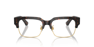 Dolce&Gabbana DG3388 Havana #colour_havana